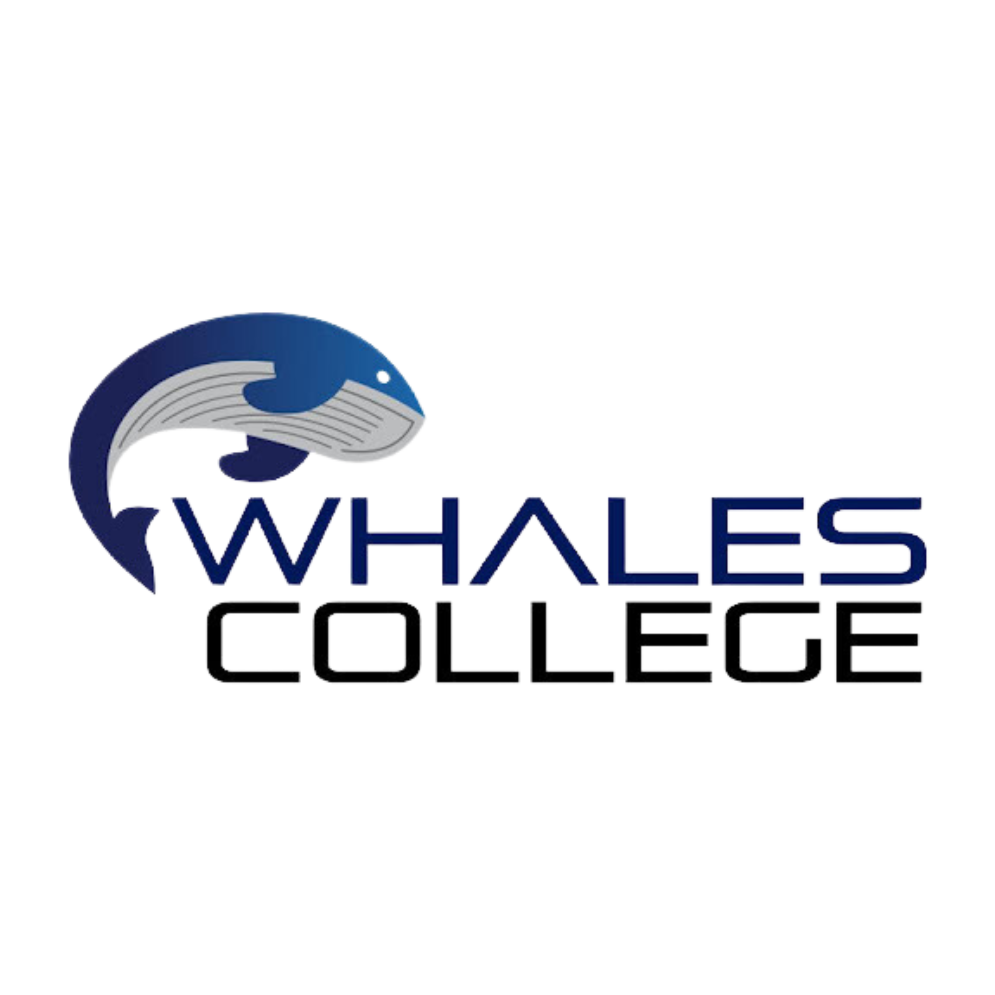Whales College