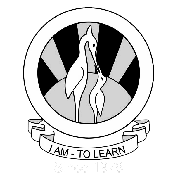 The City School