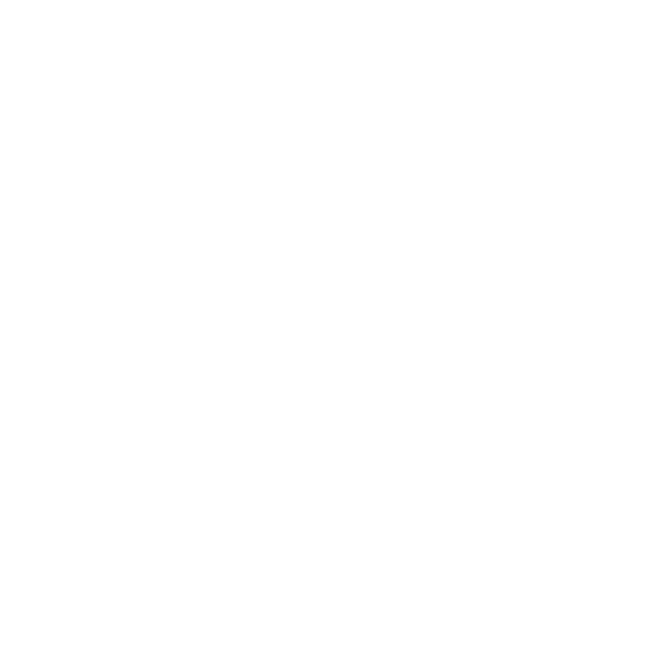 LGS Paragon