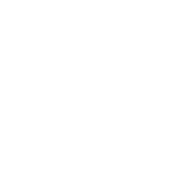 LGS P5